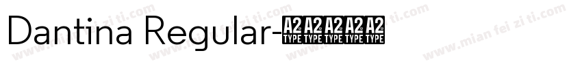 Dantina Regular字体转换